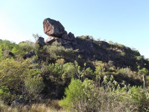 Obligados a escuchar a todos y a responder a todos.