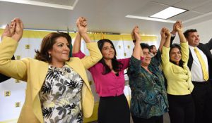 Presidenta nacional del PRD