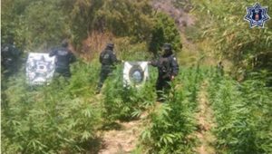 En Santa María Zooquitlán