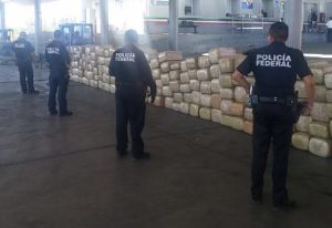 Destruyen plantío de marihuana en Oaxaca