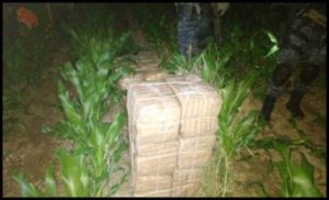 El hecho ocurrió en Tamaulipas