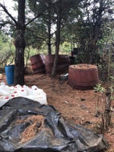 En Uruapan, Michoacán