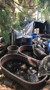 Hallan siete calderas de acero inoxidable y ocho tambos de 200 litros que almacenaban precursores químicos.