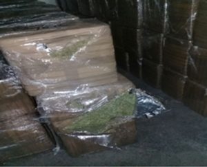 Los empaques arrojaron un peso aproximado de mil 18.79 kilogramos.