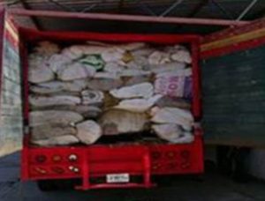 Ejecutan tres órdenes de cateo