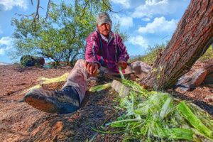 En apoyo a campesinos de Tamaulipas