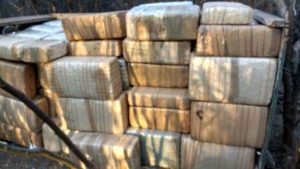 La detecta binomio canino