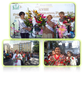 Jubilados y pensionados