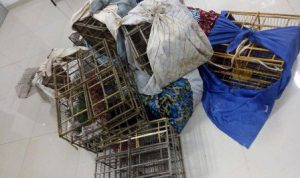 Carretera (791) Entronque El Huizache-Antiguo Morelos