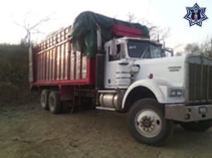 Los dos camiones fueron asegurados y quedaron a disposición de la autoridad ministerial.