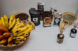 Actividades culturales y deportivas para disfrute del turismo nacional e internacional.