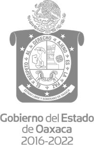 Presunto delincuente