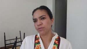 Secretaría de la Mujer Oaxaqueña