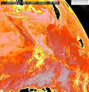 En 19 de estados del país