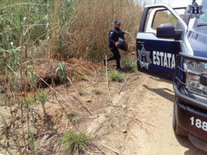 El enervante fue puesto a disposición de la autoridad para su investigación.