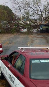 Cuantiosos daños materiales dejó el viento y la lluvia.
