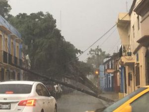 En distintos puntos de la capital