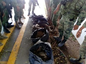 En Tamazula, Durango