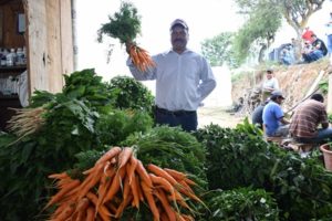 Destina SAGARPA tres mil mdp