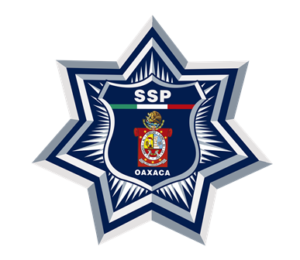 Los desconocidos huyeron