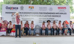 A productores de mango en el Istmo