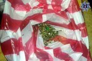 La marihuana la transportaban en bolsas de nylon.