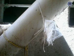 En Miahuatlán de Porfirio Díaz