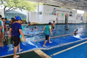 Costo entre 810 y 905 pesos