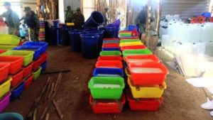 En Culiacán, Sinaloa