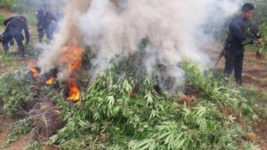 Tepehuaje, municipio de Coatecas Altas, Ejutla