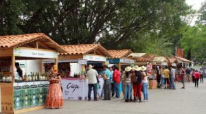 Del 15 al 25 de julio