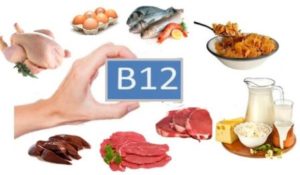 Funcionamiento del sistema nervioso