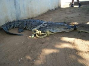 En temporada de ciclones y huracanes