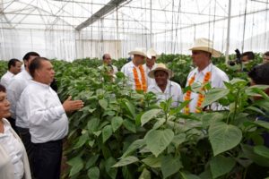 Actualmente exportan sus productos a otros países gracias a su calidad.