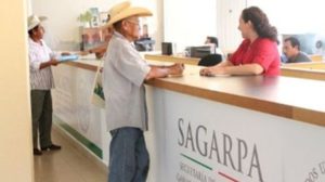 A partir del 31 de julio