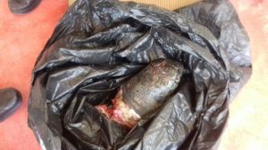 Un cartón con un mensaje