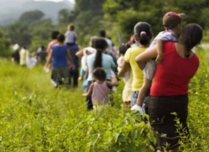 Exponen su integridad