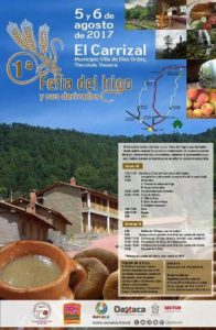 El Carrizal, Villa de Díaz Ordaz