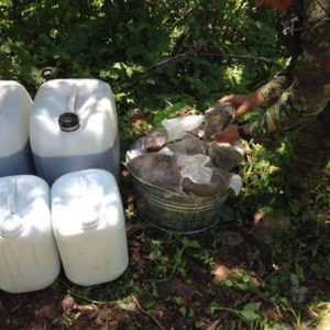 El hallazgo cerca del poblado La Ladrillera, municipio de Badiraguato, en el estado de Sinaloa.