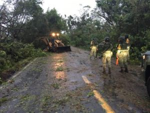 En Veracruz y Puebla