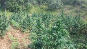 En San Andrés Niño, municipio de San Juan Lachigalla