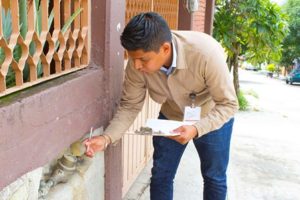 En Oaxaca de Juárez