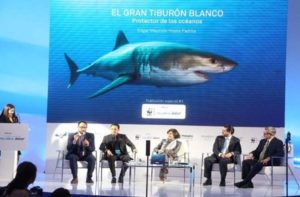 Presentación del libro