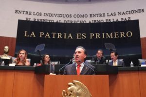 Senador de la República