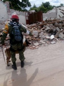 La SEDENA desplegó en tres estados a tres mil 265 soldados.