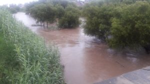 Aumenta nivel de ríos y arroyos en algunos tramos.