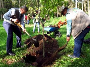 Buscan denominación de reserva de la biósfera urbana