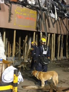 Por los recientes fenómenos naturales