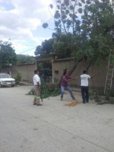 Implementa CEPCO operativo