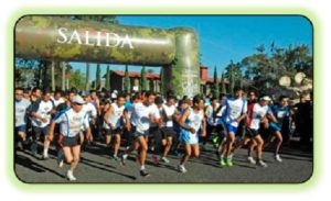 “Centenario de la Constitución”